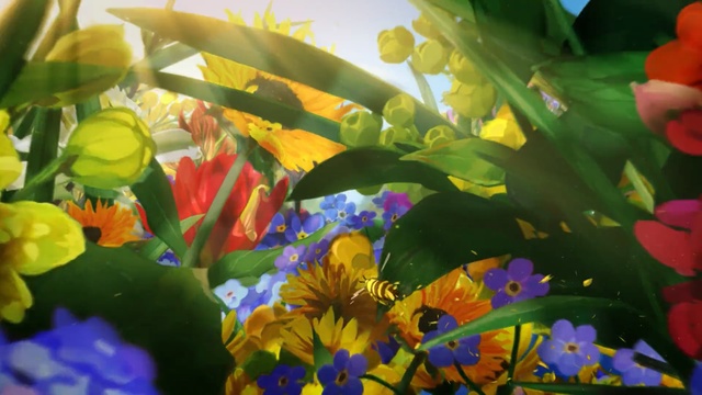 Video Reference: Flower, Plant, Petal, Botany, Organism, Spring, Wildflower, Landscape, Flowering plant, water lily