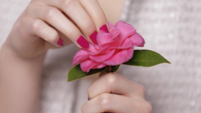 Video Reference: Nail, Pink, Petal, Flower, Hand, Finger, Plant, Rose, Rose family, Garden roses