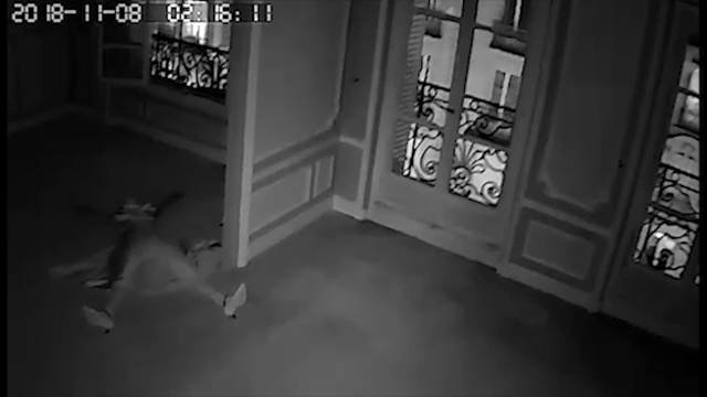 Video Reference: Black, White, Photograph, Black-and-white, Floor, Monochrome, Monochrome photography, Flooring, Room, Property