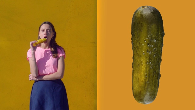 Video Reference: Cucumber, Zucchini, Yellow, Vegetable, Cucumis, Plant, Organism, Cucumber, gourd, and melon family, Squash, Spreewald gherkins