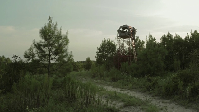 Video Reference: Tree, Vehicle, Forest, Rural area, Grass, Road, Plant, Dirt road, Off-roading, World rally championship