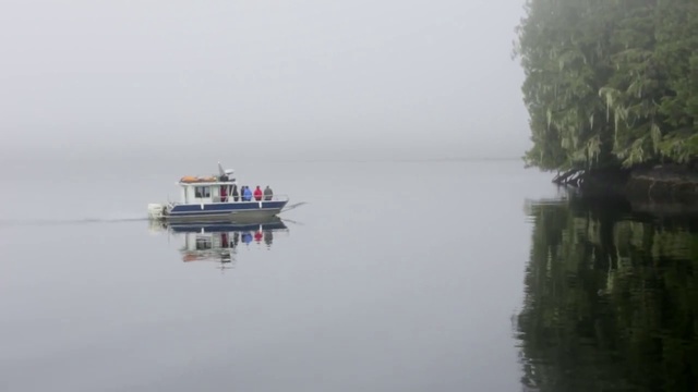 Video Reference: Water transportation, Atmospheric phenomenon, Mist, Waterway, Fog, Water, Reflection, River, Calm, Morning
