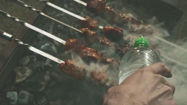 Video Reference: water, smoke, organism, animal source foods, screenshot