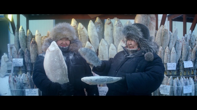 Video Reference: Photography, Photo caption, Fur, Person