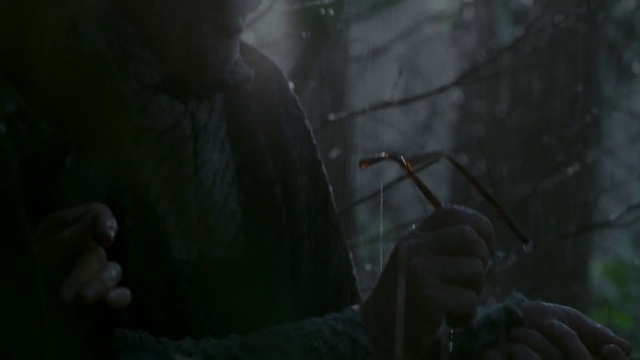 Video Reference: Black, Darkness, Fiction, Screenshot, Organism, Tree, Forest, Movie, Midnight, Photography, Person