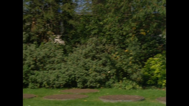 Video Reference: vegetation, nature, ecosystem, green, tree, nature reserve, leaf, grass, wilderness, forest, Person