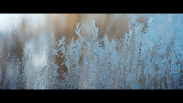 Video Reference: Water, Freezing, Art