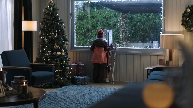 Video Reference: home, event, christmas decoration, interior design, window, tree, house, christmas, decor, christmas tree, Person