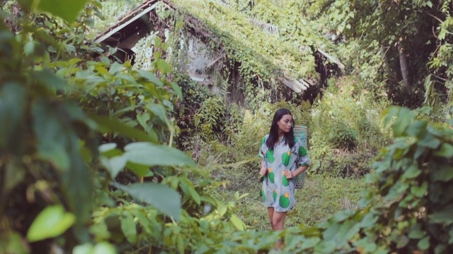 Video Reference: Nature, Vegetation, Green, Leaf, Natural environment, Tree, Jungle, Forest, Beauty, Botany