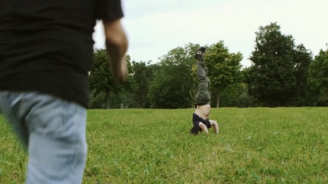 Video Reference: Lawn, Grass, Grassland, Pasture, Meadow, Natural environment, Fun, Grass, Tree, Plant