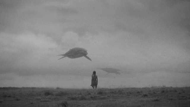 Video Reference: black and white, monochrome photography, sky, atmosphere, photography, monochrome, fog, bird, ecoregion, mist