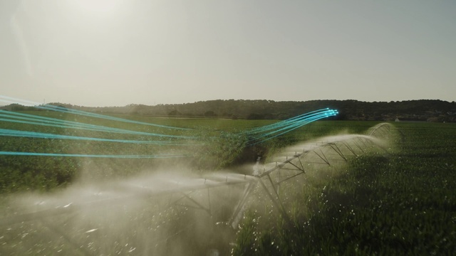 Video Reference: Green, Atmospheric phenomenon, Water, Road, Rural area, Field, Landscape, Plant