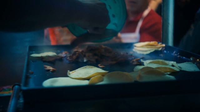 Video Reference: vertebrate, aquarium, marine biology, water, fish, Person