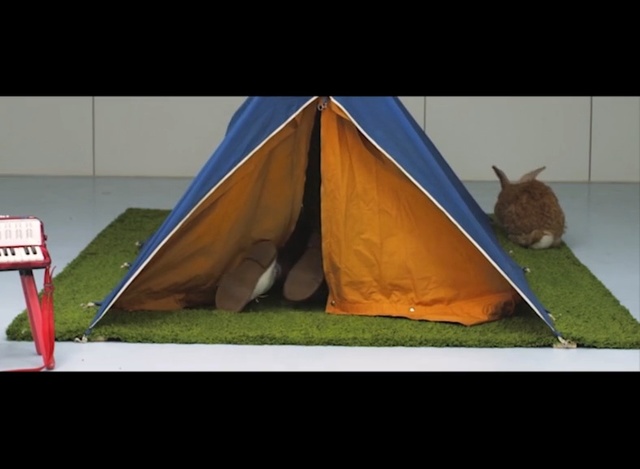 Video Reference: tent, yellow, tarpaulin, ecosystem, play, triangle, leisure, camping, grass, recreation