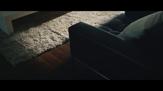 Video Reference: Black, Floor, Couch, Light, Flooring, Brown, Automotive design, Hardwood, Architecture, Tile
