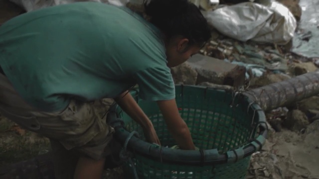 Video Reference: water, vertebrate, water resources, girl