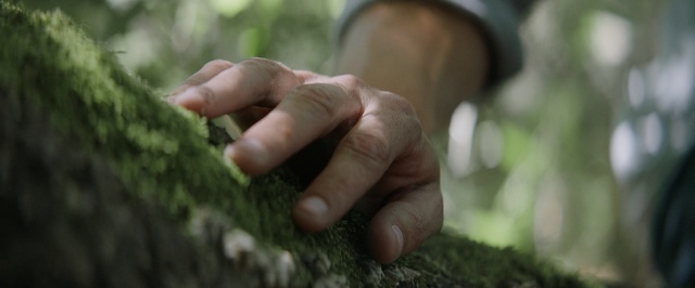 Video Reference: Finger, Hand, Adaptation, Tree, Grass, Thumb, Soil, Plant, Gesture, Terrestrial plant
