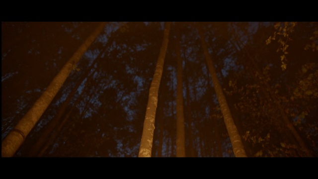 Video Reference: black, yellow, atmosphere, darkness, wood, sky, light, night, screenshot, sunlight