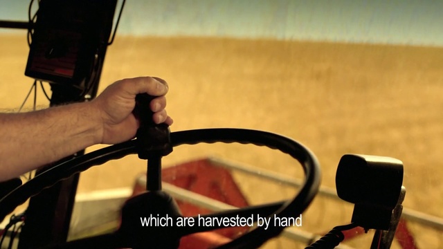 Video Reference: Hand, Finger, Technology, Bicycle handlebar, Photography, Bicycle part, Vehicle, Thumb