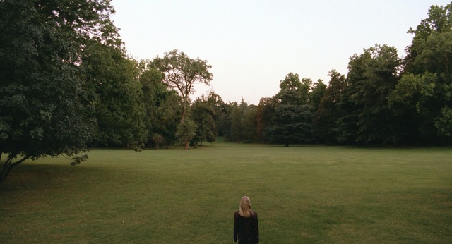 Video Reference: Nature, Grass, Tree, Grassland, Lawn, Meadow, Land lot, Grass, Sky, Photography, Person