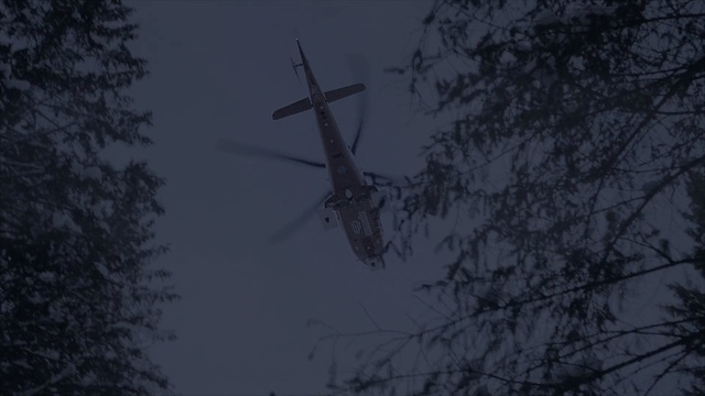 Video Reference: Sky, Atmospheric phenomenon, Tree, Atmosphere, Branch, Overhead power line, Night, Cloud, Electricity, Plant