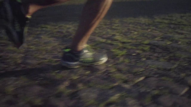 Video Reference: Leg, Human leg, Footwear, Grass, Shoe, Tree, Night, Plant, Soil, Foot