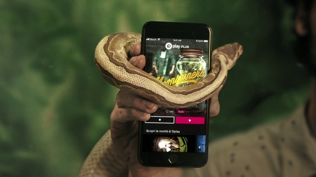 Video Reference: Gadget, Technology, Mobile phone, Portable communications device, Electronic device, Reptile, Snake, Scaled reptile, Smartphone