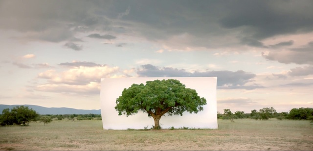 Video Reference: Natural landscape, Tree, Nature, Sky, Photograph, Green, Natural environment, Cloud, Savanna, Grassland