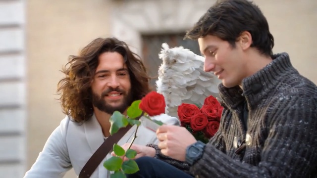 Video Reference: Floral design, Flower Arranging, Floristry, Flower, Bouquet, Plant, Art, Smile, Person