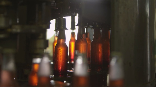 Video Reference: bottle, drink, alcoholic beverage, glass bottle, beer bottle, distilled beverage, liqueur, beer, alcohol, wine, Person