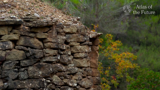 Video Reference: Rock, Bedrock, Wall, Stone wall, Vegetation, Outcrop, Nature reserve, Plant, Geology, Formation