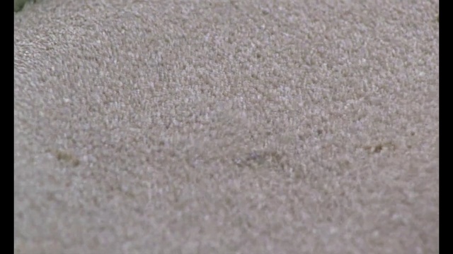 Video Reference: texture, material, surface, pattern, rough, fabric, textured, dishrag, wall, stone, piece of cloth