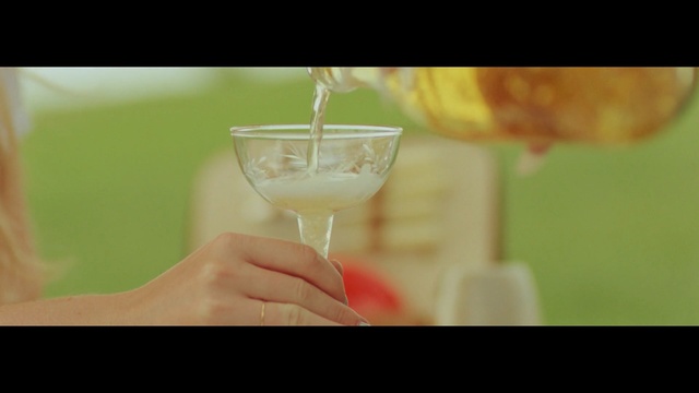 Video Reference: martini, glass, alcohol, drink, cocktail, wine, beverage, liquid, party, bar