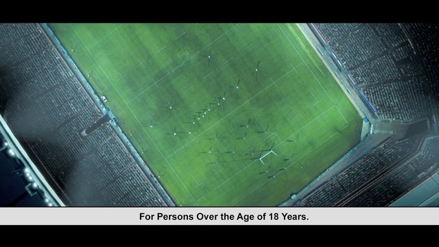 Video Reference: Green, Stadium, Sport venue, Leaf, Grass, Aerial photography, Photography, Architecture, Plant