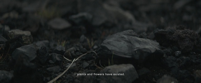 Video Reference: black, darkness, rock, atmosphere, screenshot, black and white, forest, tree, water, grass