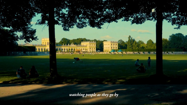 Video Reference: nature, green, sky, tree, grass, plant, public space, structure, park, lawn, Person