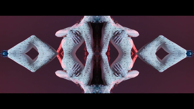 Video Reference: organism, font, symmetry, jaw, graphics, computer wallpaper