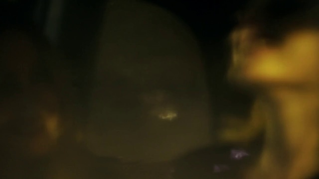 Video Reference: Black, Green, Light, Darkness, Brown, Yellow, Sky, Night, Close-up, Macro photography