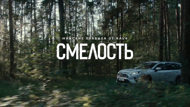 Video Reference: Land vehicle, Vehicle, Car, Nature, Natural environment, Off-roading, Tree, Mid-size car, Off-road vehicle, State park