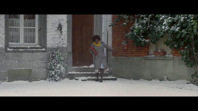Video Reference: Snow, Winter, Snapshot, Wall, Mode of transport, Adaptation, Tree, Freezing, Neighbourhood, Asphalt