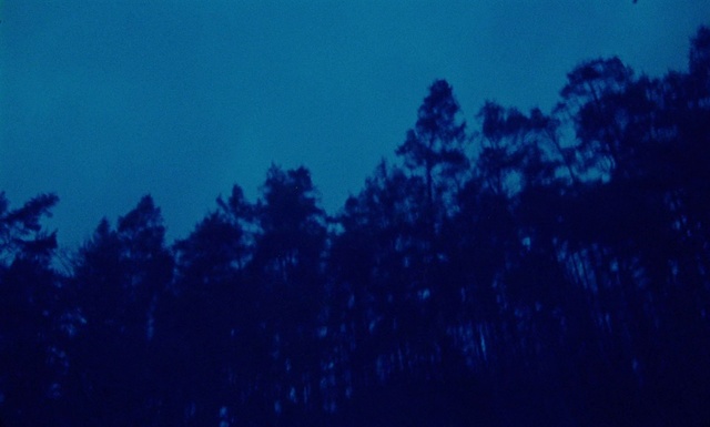 Video Reference: Blue, Sky, Nature, Atmosphere, Biome, Azure, Electric blue, Marine biology, Tree, Night