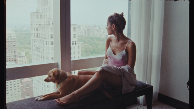 Video Reference: Joint, Shoulder, Dog, Comfort, Window, Flash photography, Sunlight, Thigh, Carnivore, Knee
