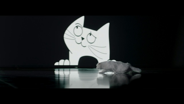 Video Reference: white, black, black and white, mammal, vertebrate, darkness, monochrome, monochrome photography, still life photography, computer wallpaper