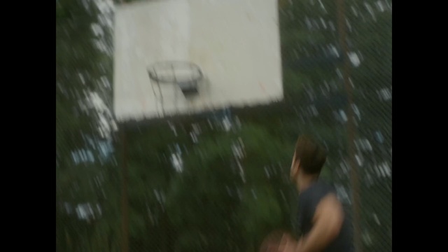 Video Reference: green, ecosystem, tree, vertebrate, mode of transport, grass, biome, lighting, sunlight, adventure, Person