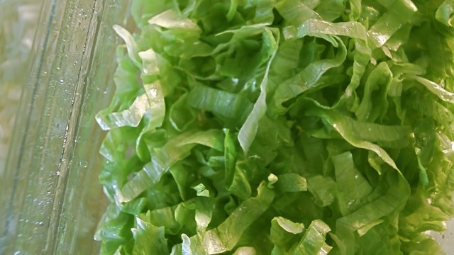 Video Reference: Leaf vegetable, Food, Leaf, Vegetable, Plant, Spinach, Sorrel, Lettuce, Arugula, Produce, Person