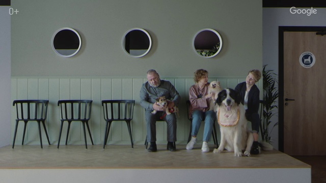 Video Reference: Mammal, Dog, Canidae, Dog breed, Kennel club, Carnivore, Sporting Group, Fawn, Non-Sporting Group, Guard dog