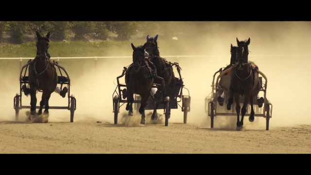 Video Reference: Horse, Horse harness, Bridle, Rein, Horse tack, Pack animal, Horse and buggy, Chariot, Vehicle, Carriage, Person