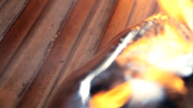 Video Reference: Close-up, Macro photography, Wood, Rust, Insect, Metal