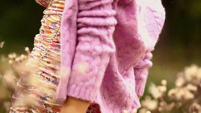 Video Reference: Pink, Flower, Violet, Plant, Fur, Spring, Close-up, Petal, Tree, Textile
