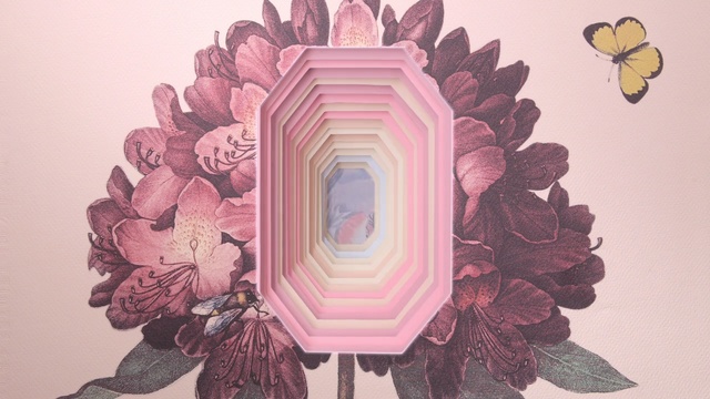 Video Reference: Illustration, Pink, Plant, Floral design, Flower, Art, Pattern, Graphic design